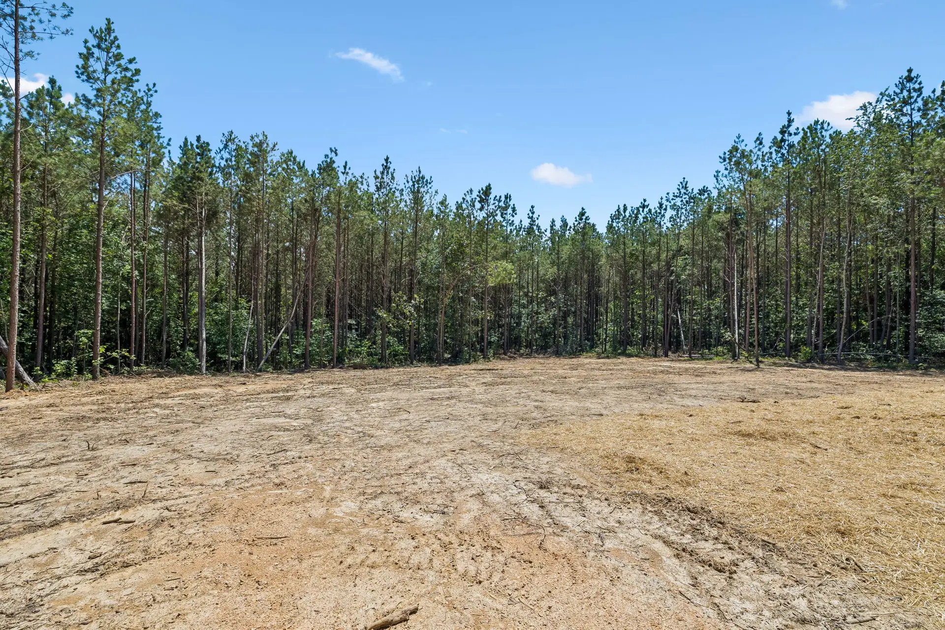 Backyard at 1975 Linden Hwy, a barndominium in Hohenwald, Tennessee